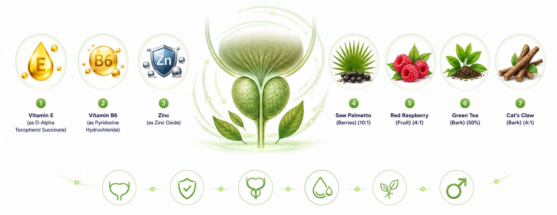 ProstAfense ingredients: Vitamin E, Vitamin B6, Zinc, Saw Palmetto, Red Raspberry, Green Tea and Cat's Claw